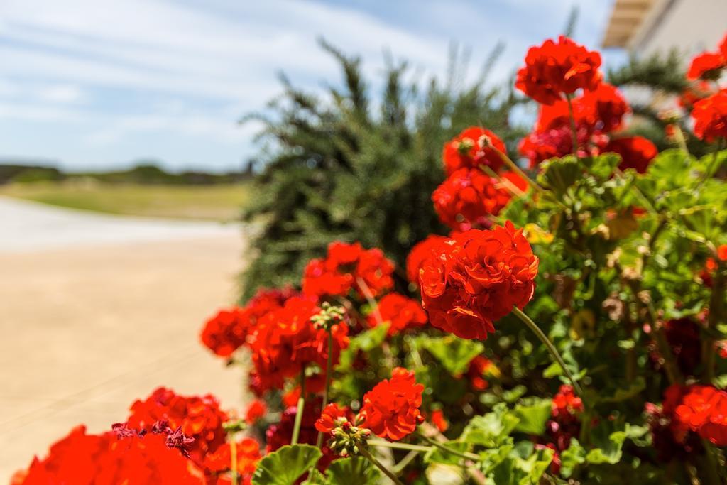 Cottages For Couples Port Fairy Εξωτερικό φωτογραφία